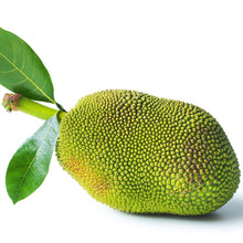 JACKFRUIT CLEANED & BLANCHED 500G