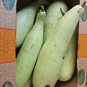 CALABASH +- 800g Friday delivery