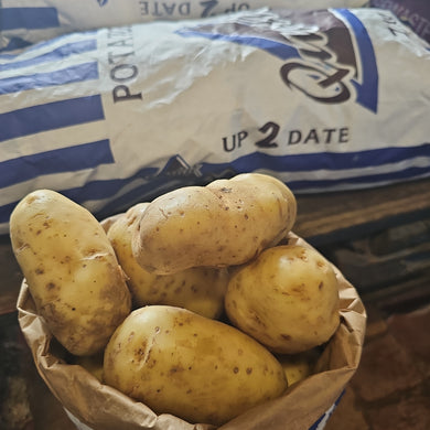 LIMITED STOCK -4.5KGS! UTD POTATOES - MED/LARGE