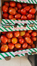 JAM TOMATOES