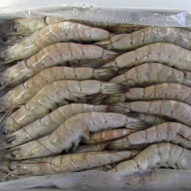 BUY 2 X WHITE TIGER PRAWNS 700g HEAD ON 31/40 UNCLEANED