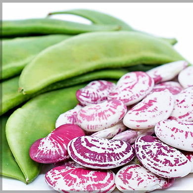 DOUBLE BEANS 800G FRIDAY ONLY