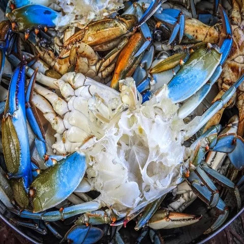 CLEANED BLUE CRAB 1KG – @ PAUL'S