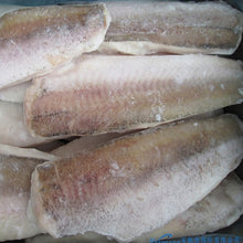 HAKE FILLETS/PORTIONS - FRESH  FROZEN