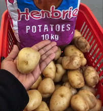 PROMO CAPE DOUGLAS UP TO DATE POTATOES UTD -LARGE 10KG