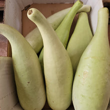 CALABASH CLEANED & BLANCHED 500G