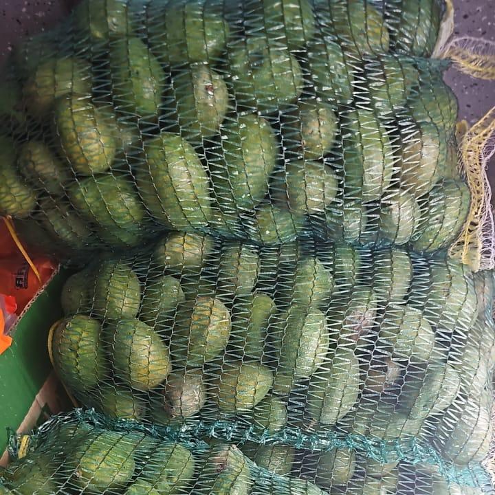 GREEN MANGOS +-3KG BAG FRIDAY DELIVERY