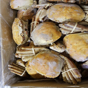 JUMBO ORANGE CRAB 1.9kg 2 Crab