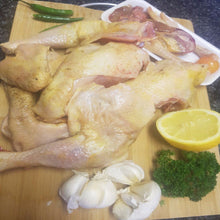 CULLS CHICKEN READY FOR THE POT