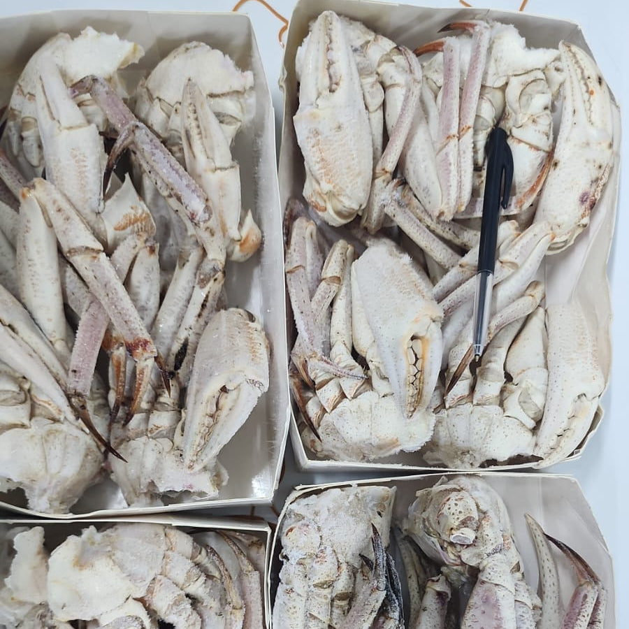 LARGE CLEANED MOZAMBIQUE ORANGE CRAB 1KG