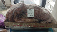 NEW - BIG WHOLE OCTOPUS