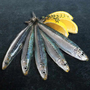SARDINES FROZEN 1KG