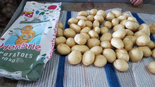 LIMITED STOCK -2KGS! UTD POTATOES - MED/LARGE