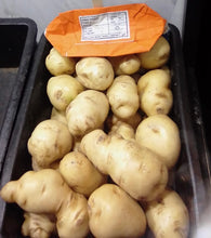 LIMITED STOCK -2KGS! UTD POTATOES - MED/LARGE