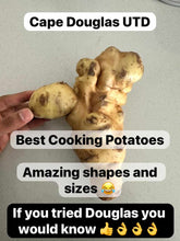 PROMO CAPE DOUGLAS UP TO DATE POTATOES UTD -LARGE 10KG