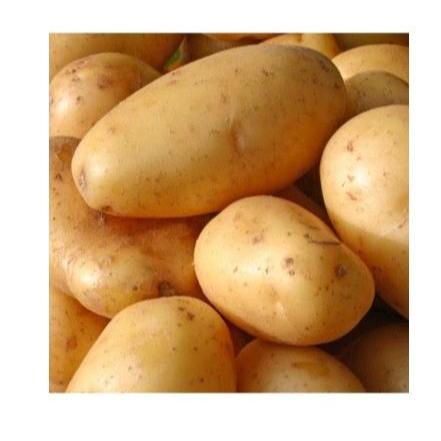 PROMO SOFT COOKING POTATOES,  10KG POCKET MEDIUM