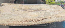 SALTED (DRY FISH)