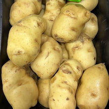 10KG PROMO UP TO DATE POTATOES UTD -MEDIUM