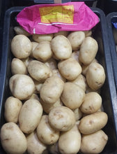 UP TO DATE POTATOES UTD  10kg