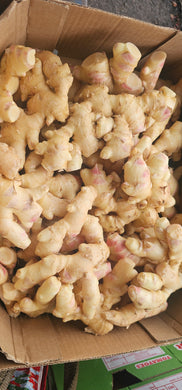 FRESH GINGER