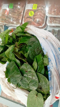 FRESH PAAN/BETEL LEAVES - 5'S