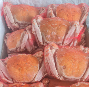 LARGE SOFT SHELL PINK CRAB 700 to 800g each, -+6 crab +-5KG