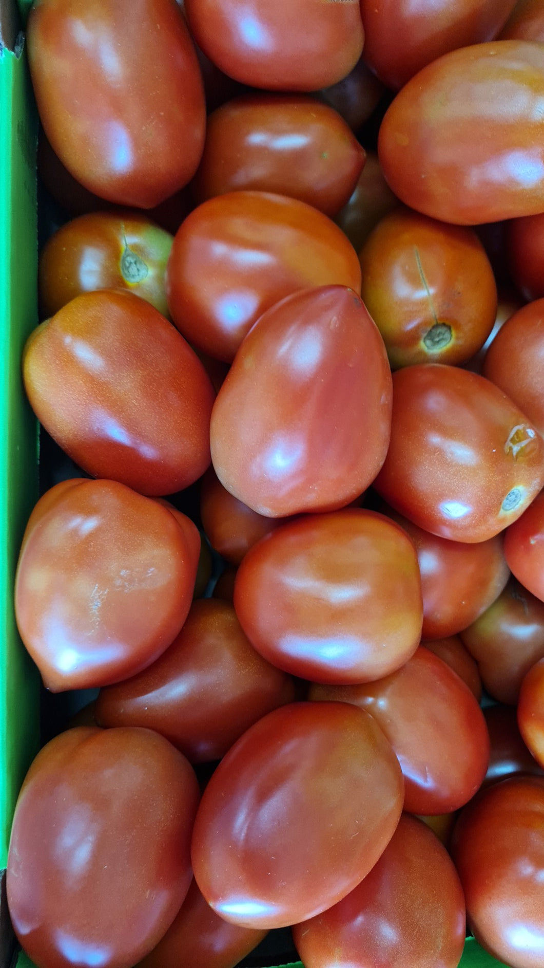 VEG COMBO-1kg tomatoes,1pkt chillies, 2kg onion, 2kg UTD potatoes , 1 x 60g curry leaves