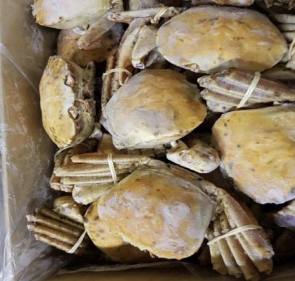 KING ORANGE CRAB 1.8 to 1.9kg approx 2 crab – @ PAUL'S FISHERIES