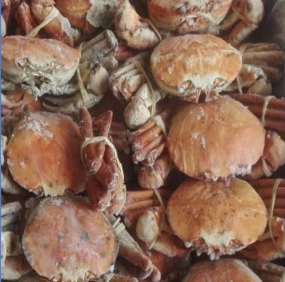 Sale MEDIUM ORANGE CRAB 2KG