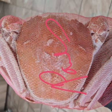 BLACK FRIDAY LARGE SOFT SHELL PINK CRAB 700g-800g each, 3 crab +-2.3KG