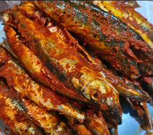 SARDINE RUN 2026 -  SARDINES