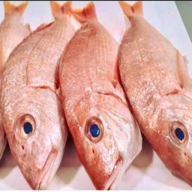 RED FISH - FISH -VALUE PACK WITH HEAD 2kg CAUGHT & FROZEN AT SEA