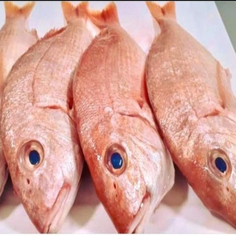 RED FISH - FISH -VALUE PACK WITH HEAD 1kg CAUGHT & FROZEN AT SEA