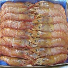 1KG DEVEINED  PRAWNS HEAD ON
