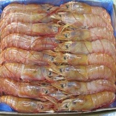 1KG DEVEINED  PRAWNS HEAD ON