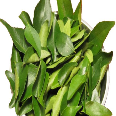 CURRY LEAVES 60G large packet